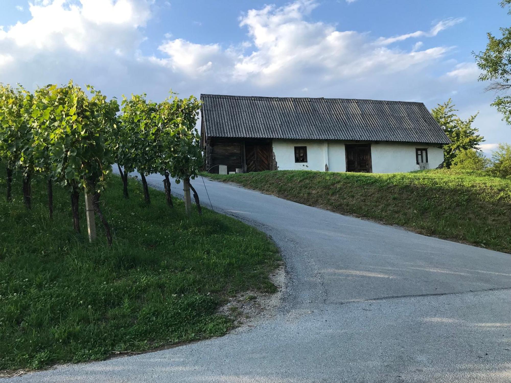 Morning Coffee W A View :) Podčetrtek Exterior foto